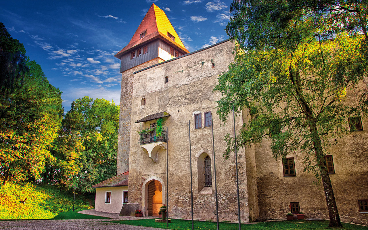 Schloss Ulmerfeld