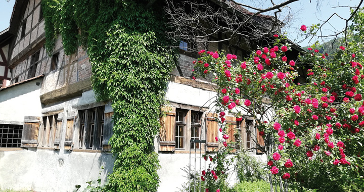 Feldkirch für Schulen